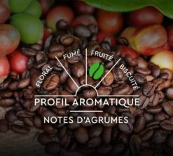 30 Capsules Compatibles Nespresso® - Espresso BIO - CARTE NOIRE -Delonghial Magasin bio notes aro 1