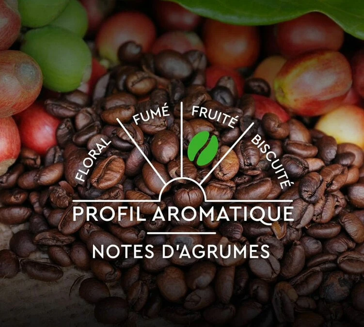 60 Capsules Compatibles Nespresso® - Espresso BIO - CARTE NOIRE 6 60 Capsules Compatibles Nespresso® - Espresso BIO - CARTE NOIRE – Image 4