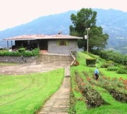 4x250g Café En Grain Bio La Esperanza - Cafés Lugat -Delonghial Magasin cafe grains esperanza colombie 3