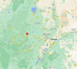 4x250g Café En Grain Bio - Ethiopie Moka Nekemte - CAFES LUGAT 7 4x250g Café En Grain Bio - Ethiopie Moka Nekemte - CAFES LUGAT -Delonghial Magasin cafeengraincafeslugatethiopie