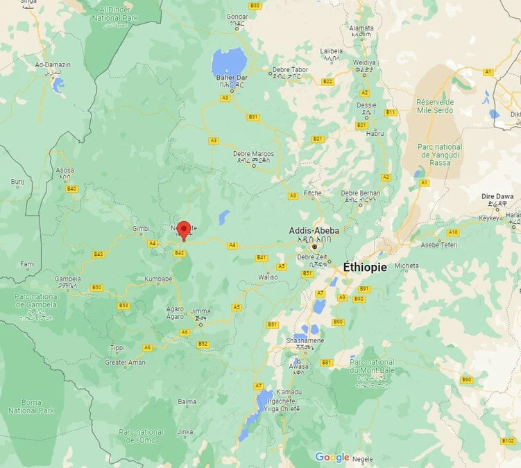 4x250g Café En Grain Bio - Ethiopie Moka Nekemte - CAFES LUGAT 5 4x250g Café En Grain Bio - Ethiopie Moka Nekemte - CAFES LUGAT – Image 3