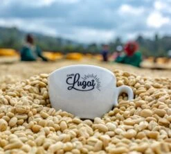 1 Kg Café En Grain Le Dark'n Sweet - Cafés Lugat -Delonghial Magasin cafeengraincafeslugatmarque