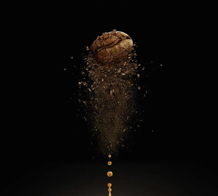 500gr Café En Grains Lavazza - Voix De La Terre For Amazonia Bio 4 500gr Café En Grains Lavazza - Voix De La Terre For Amazonia Bio – Image 2