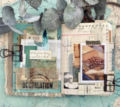 1kg Café En Grain 100% Arabica Moka Bio Ethiopie - DESTINATION -Delonghial Magasin cafeengraindestinationmarque