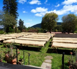 250 G- Café En Grain La Cumbre - LE PIANTAGIONI DEL CAFFE -Delonghial Magasin cafeengrainlpdclacumbre1