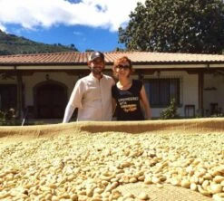 250 G- Café En Grain La Cumbre - LE PIANTAGIONI DEL CAFFE -Delonghial Magasin cafeengrainlpdclacumbre2