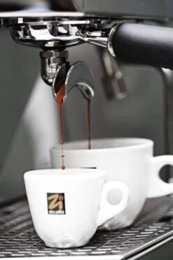 1 Kg Café En Grain Black Of Italy Zicaffè -Delonghial Magasin espresso zicaffe