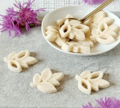 72 Sucres Moulés Bio - À L'origine - CANASUC -Delonghial Magasin f