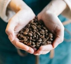 Café En Grains Brûlerie Du Cantin - Mélange Dégustation 100% Arabica - 250gr -Delonghial Magasin lifestyle grain 2