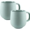 2 Mugs Terra Sauge - 33 Cl - PYLANO 1 2 Mugs Terra Sauge - 33 Cl - PYLANO -Delonghial Magasin pylano mug sauge1