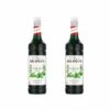Sirop Monin Menthe - Bouteille Plastique - 2 X 1L -Delonghial Magasin sirop monin menthe x2 1l pet 1