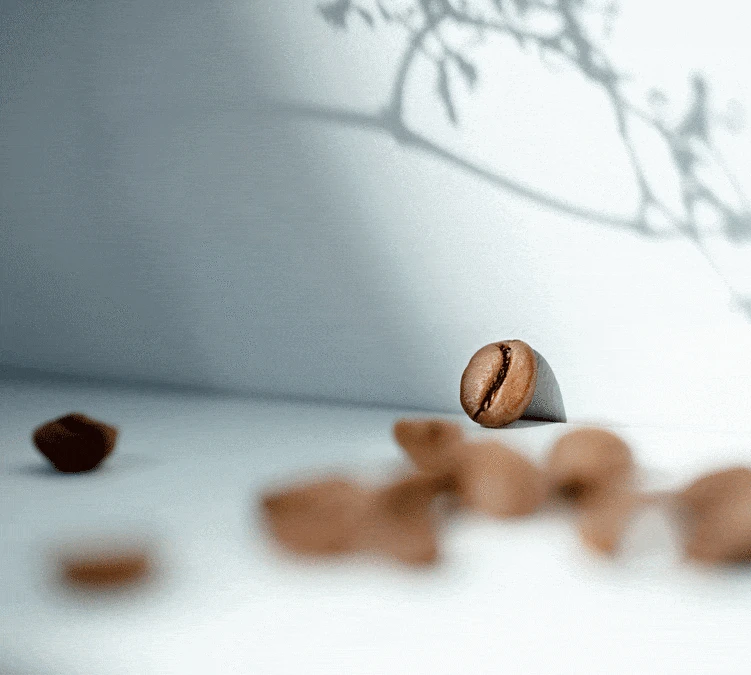 500g Café En Grain Bio Moka D'Ethiopie - CAFES RICHARD 5 500g Café En Grain Bio Moka D'Ethiopie - CAFES RICHARD – Image 3